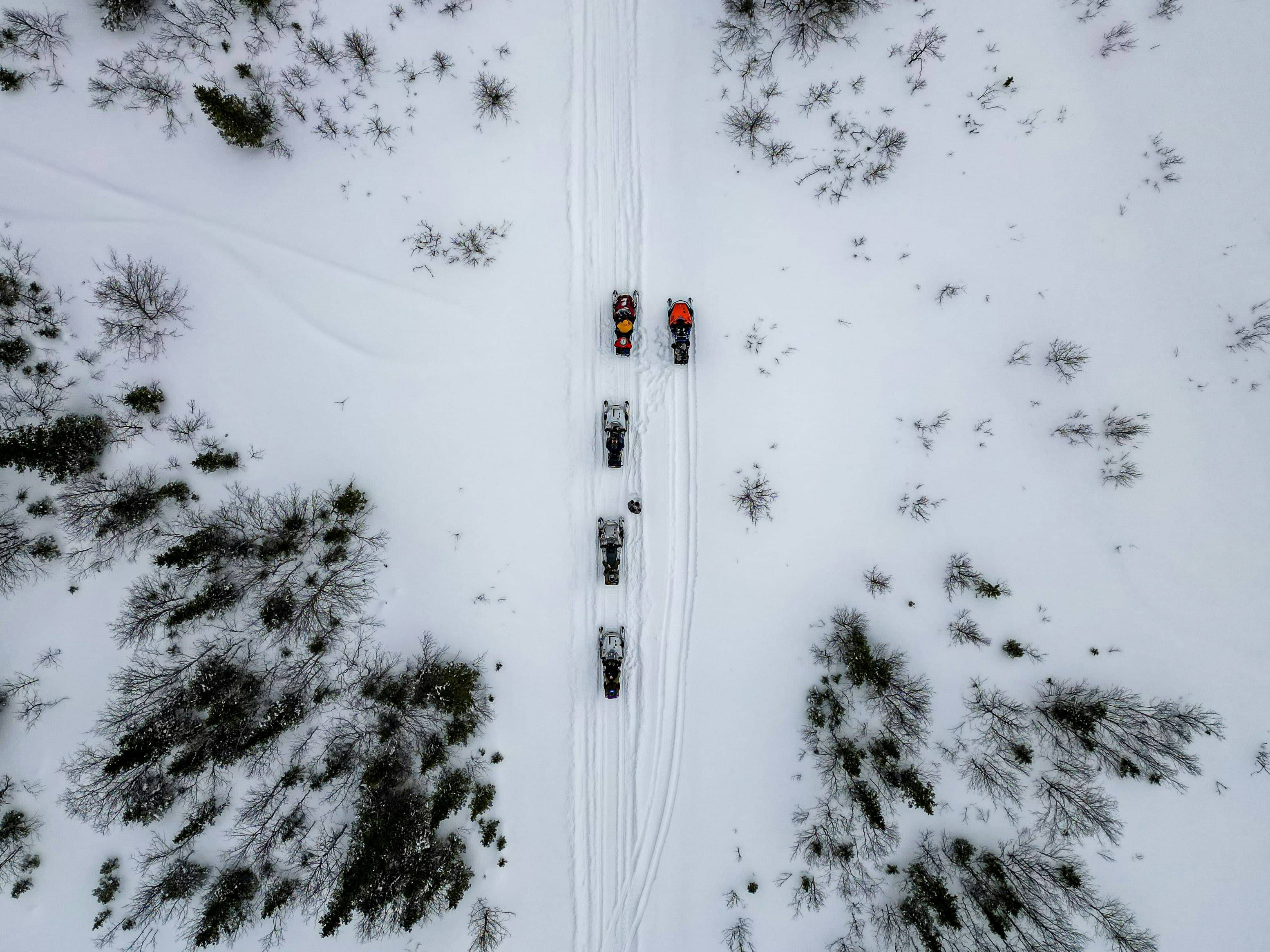 Snöskoterspår genom Sareks vildmark